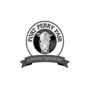 Custom web design services for Oshawa and Durham Region businesses, offering modern, mobile-friendly websites to boost online presence and attract more customers.