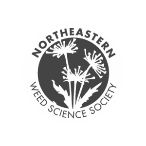 NEWSS_CircleBorder-294x300